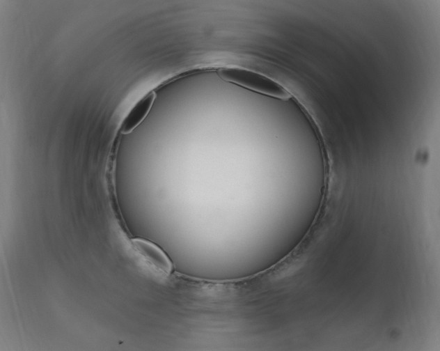 X0000111380901200907100934