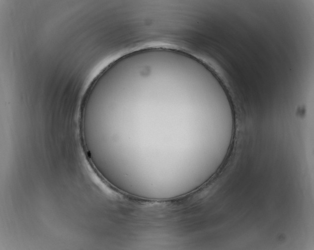 X0000111380902200907100934