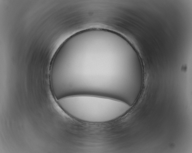 X0000111380903200907100934