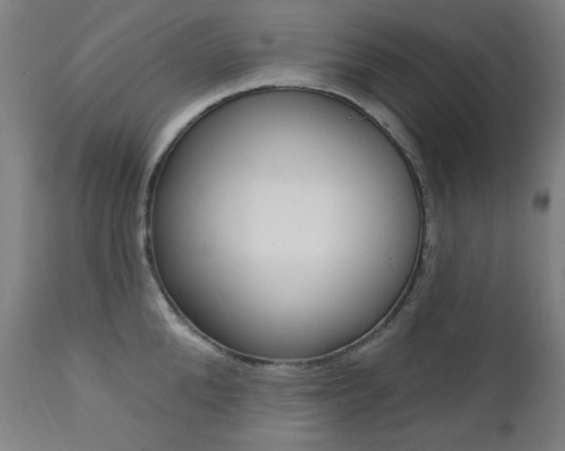 X0000111380904200907100934