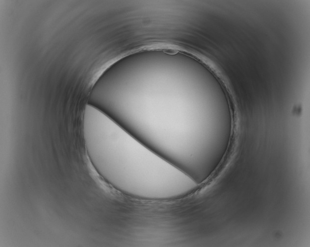 X0000111380905200907100934