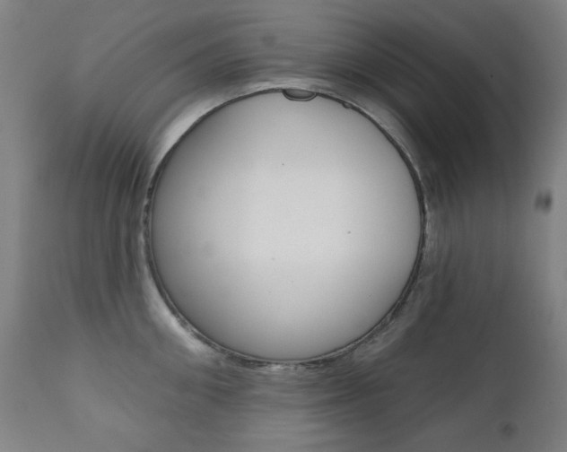 X0000111380906200907100934