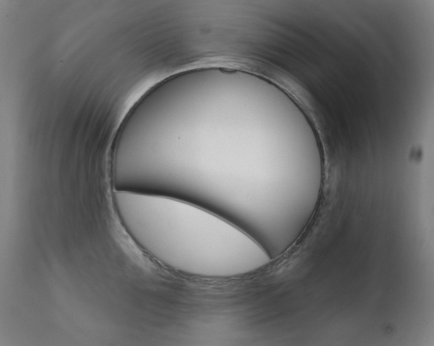 X0000111380907200907100934
