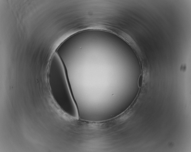 X0000111380908200907100934
