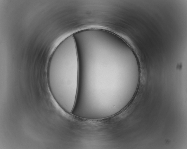 X0000111380910200907100934