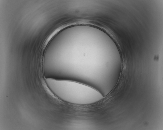 X0000111380911200907100934