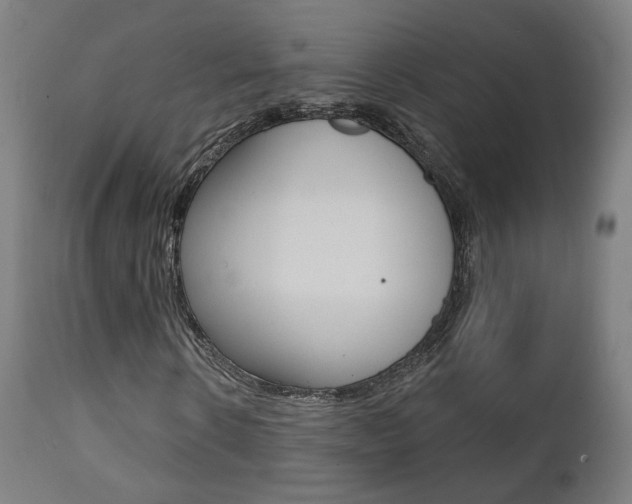 X0000111380914200907100933