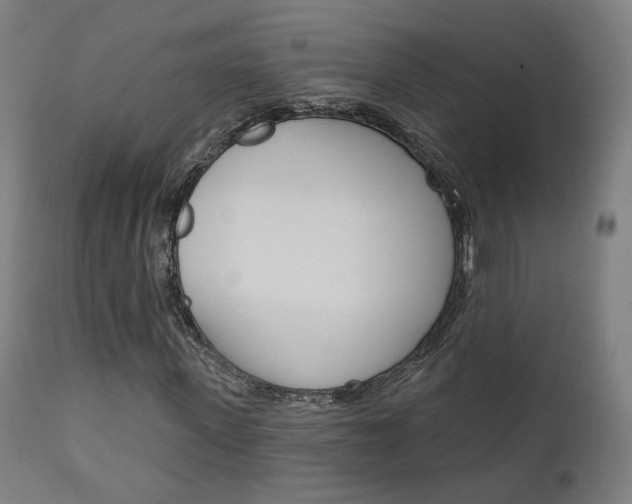 X0000111380915200907100933