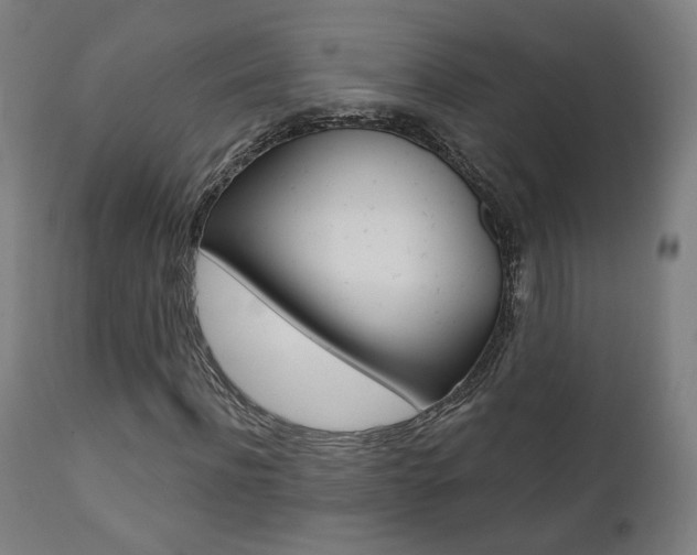 X0000111380916200907100933