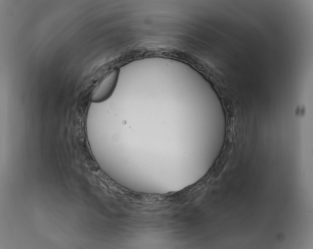 X0000111380917200907100933