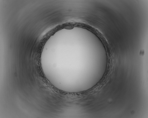 X0000111380919200907100933