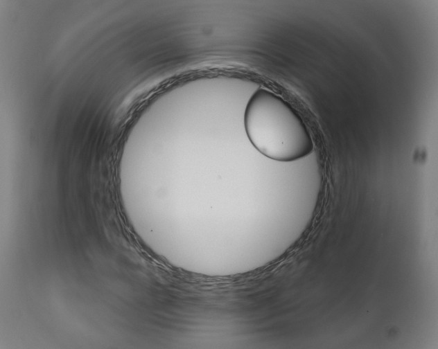 X0000111380920200907100933
