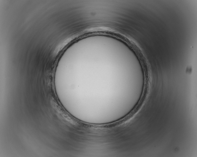 X0000111380921200907100933