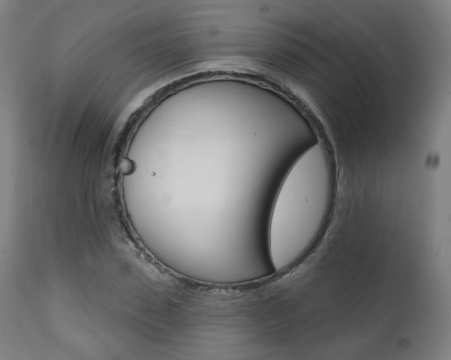 X0000111380923200907100933