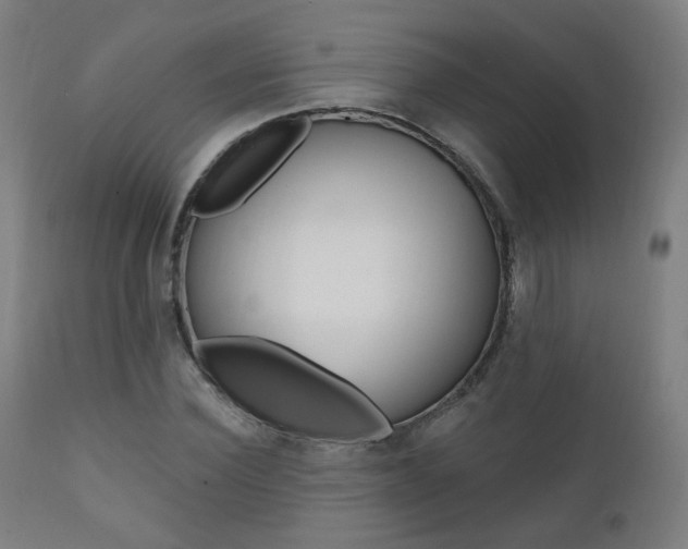 X0000111380924200907100933