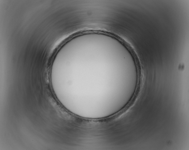 X0000111380925200907100934