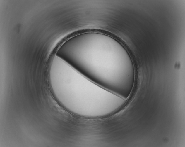 X0000111380926200907100934