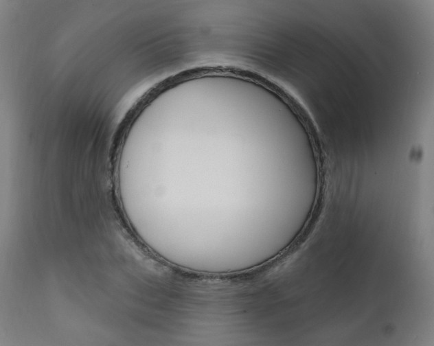 X0000111380927200907100934