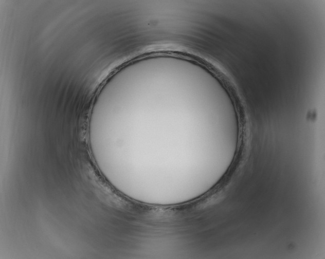 X0000111380929200907100934