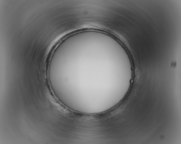 X0000111380931200907100934