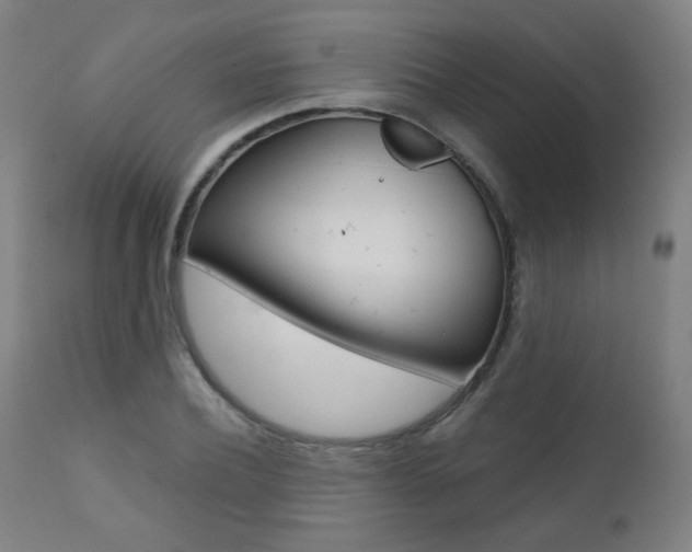 X0000111380932200907100934