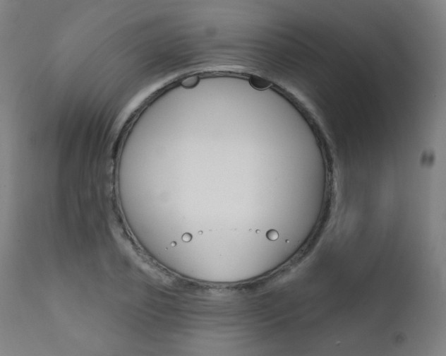 X0000111380933200907100934