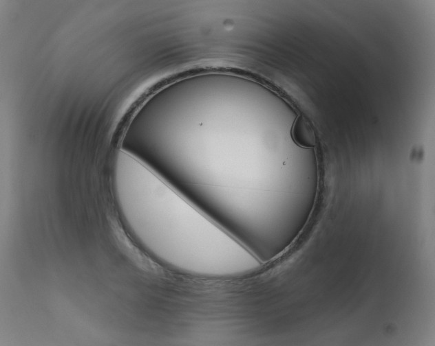 X0000111380934200907100934