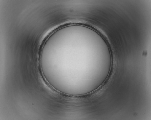X0000111380935200907100934