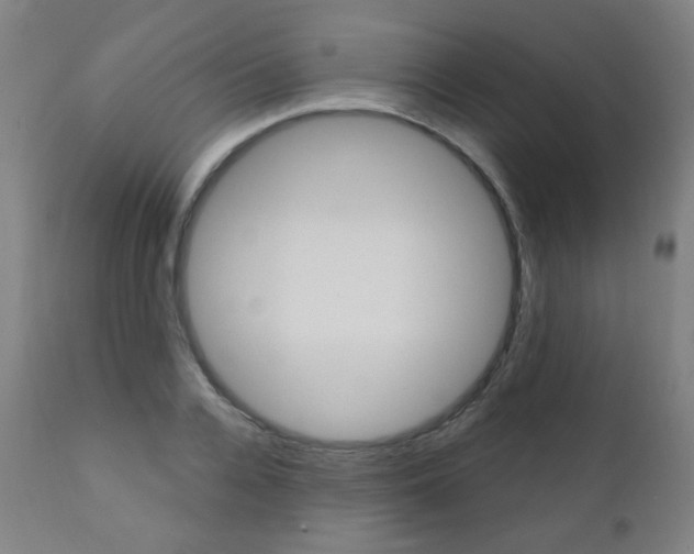 X0000111380936200907100934
