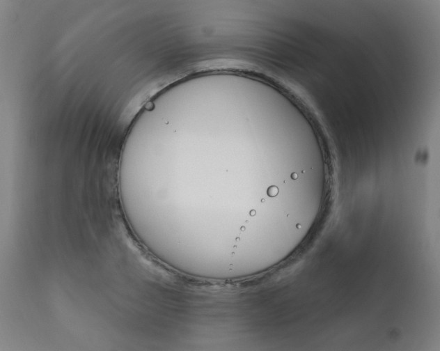 X0000111380937200907100934