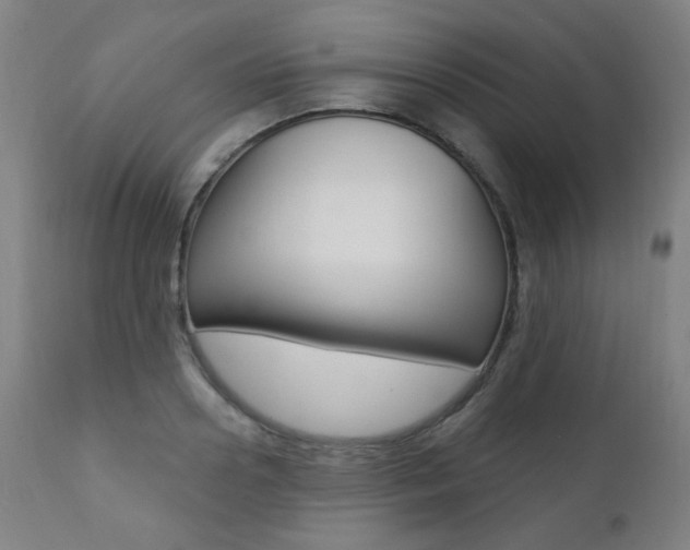 X0000111380938200907100934