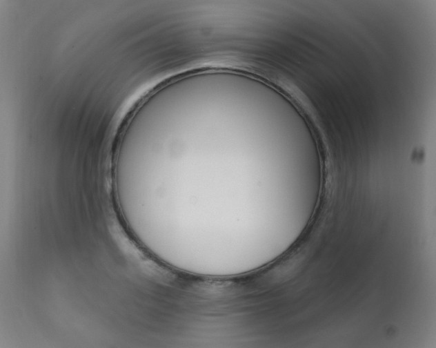 X0000111380939200907100934
