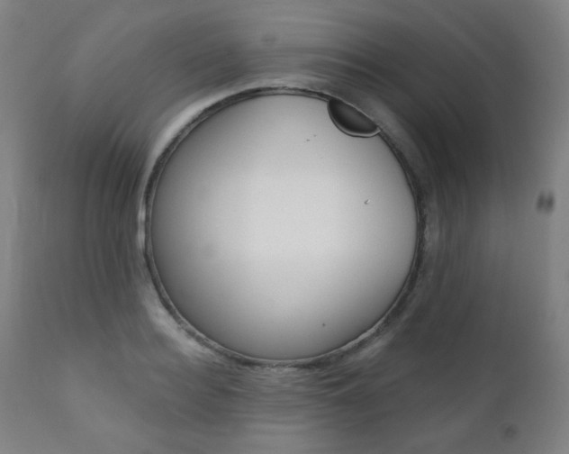 X0000111380940200907100934