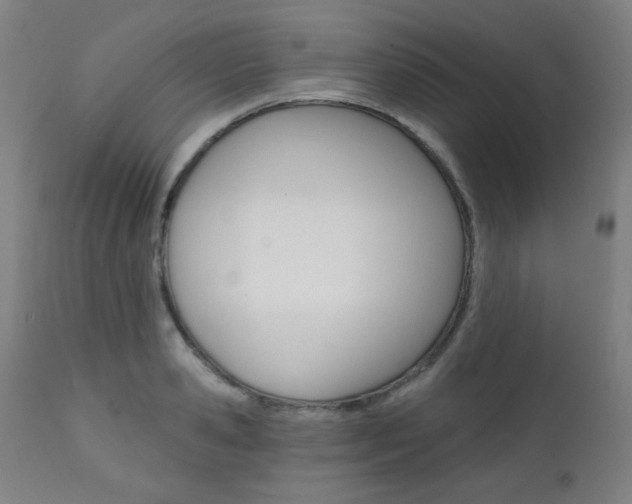 X0000111380941200907100934