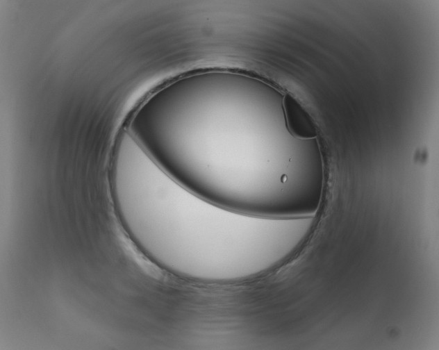 X0000111380942200907100934