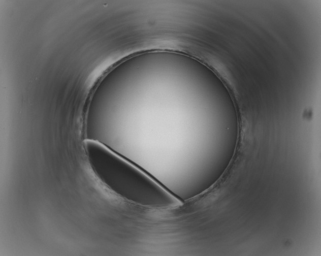 X0000111380944200907100934