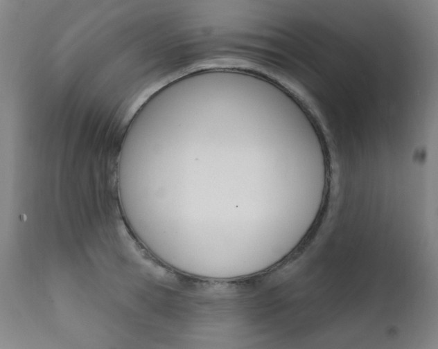 X0000111380945200907100934