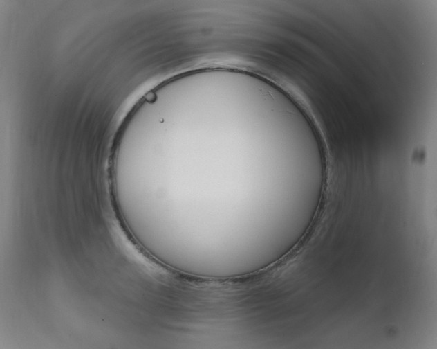 X0000111380947200907100934