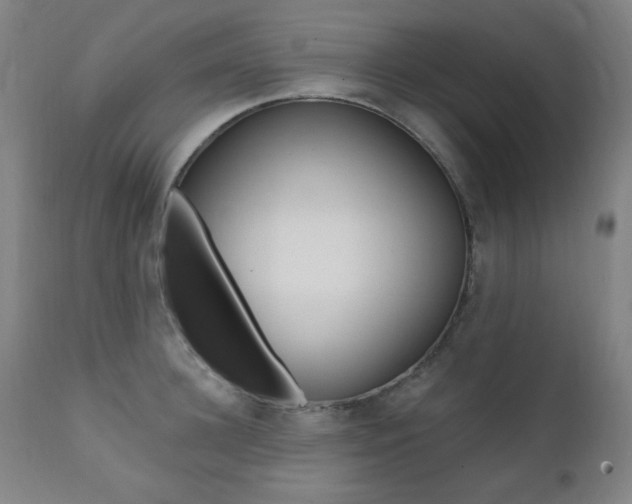 X0000111380948200907100934