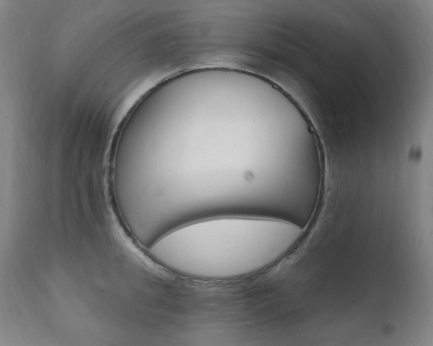 X0000111380949200907100934