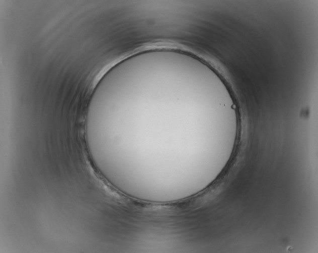 X0000111380953200907100934