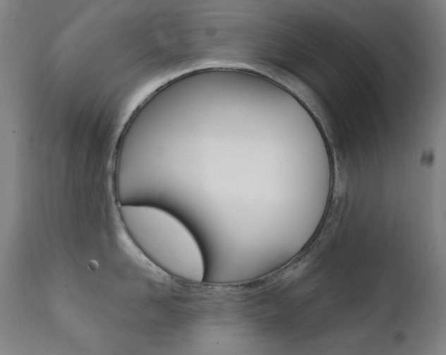 X0000111380958200907100934