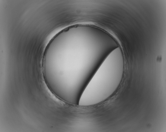 X0000111380959200907100934