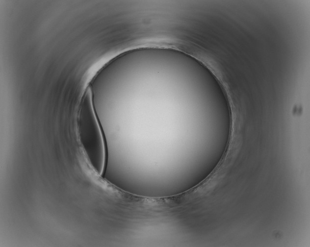 X0000111380960200907100934