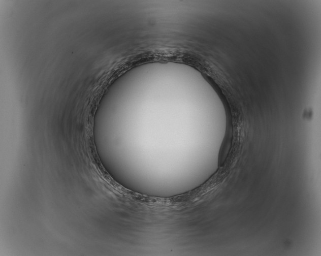 X0000111380961200907100933