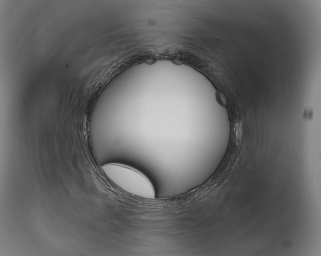 X0000111380963200907100933