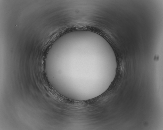 X0000111380964200907100933