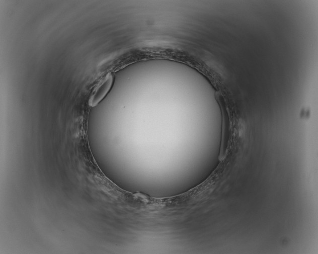 X0000111380965200907100933