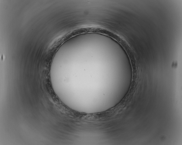 X0000111380967200907100933