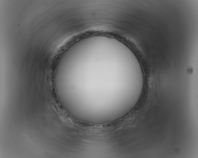 X0000111380968200907100933